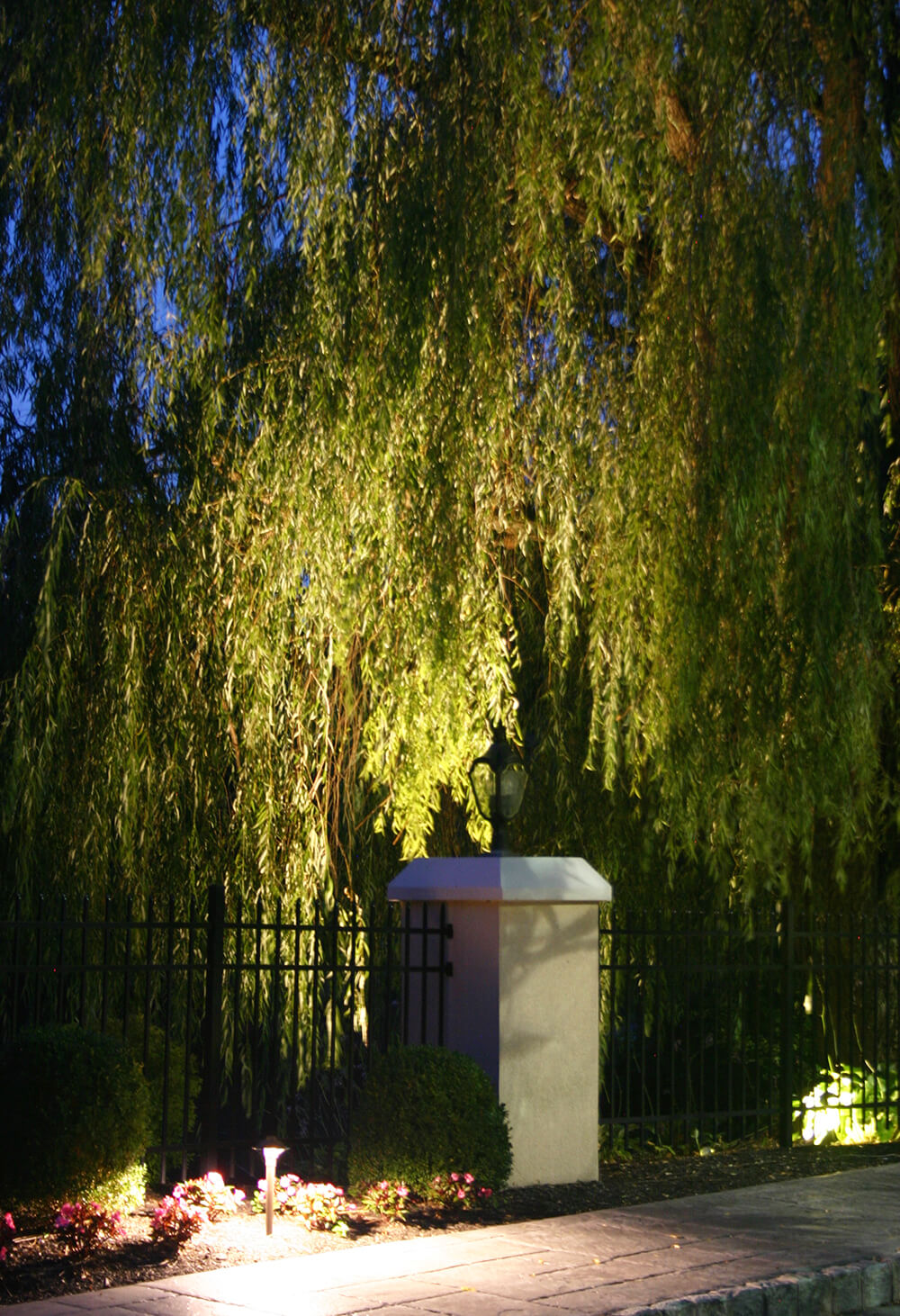 Weeping willow with specialty lighting